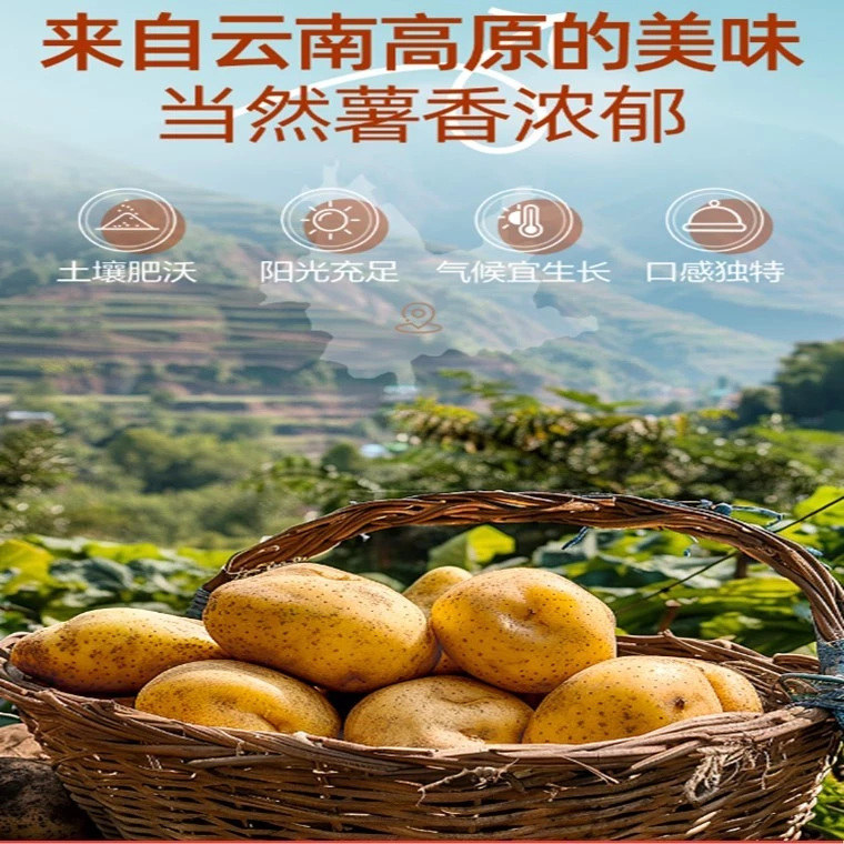 Bestore Braised Potato Slices Garlic Flavor 良品铺子高原土豆片 40g - Image 6